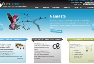 Web Elite Studios