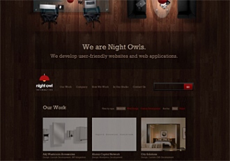 Night Owl Interactive