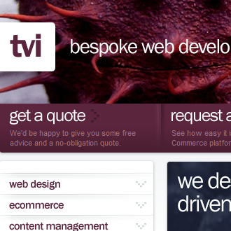 Web Design by TVI