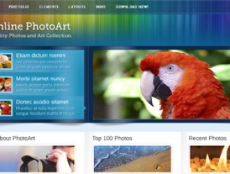Online PhotoArt – Business & Portfolio Theme