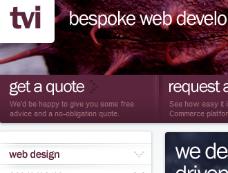 Web Design by TVI
