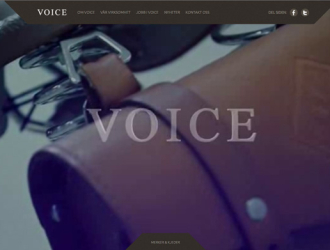 Voice Norway
